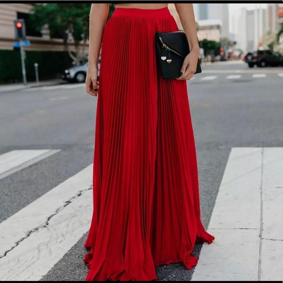 Dresses & Skirts - Bohemia Pleated Full Length Maxi Long Skirt NWT